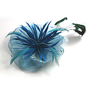 en organza de mariée magnifique avec bandeau de plumes de noces