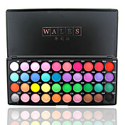 Pays de Galles - étonnante palette de couleurs 40 ombre à paupières