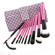 brillance couleur de haute qualité en laine brosse set (10pcs)