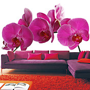 Pink Orchid Murale Nature Floral