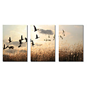 Stretched Canvas Art Landscape Farmland Set of 3