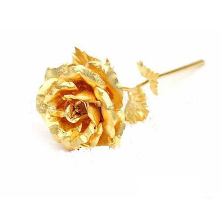 A Gold Rose