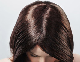 Capless Extra Long Synthetic Chocolate Brown Straight Hair Wig