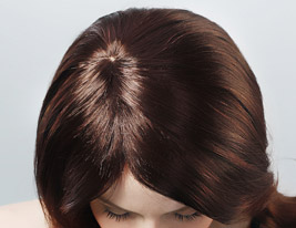 Capless Long Chocolate Brown Body Wave 100% Human Hair Wig with Side Bang