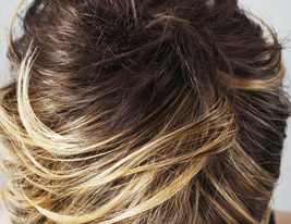 Capless Short High Quality Synthetic Natural Look Dark Coffee With Blonde Bob Hair Wig FD010C-0479-1112-3 Capless Short High Quality Synthetic Natural Look Dark Coffee With Blonde Bob Hair Wig FD010C-0479-1112-3