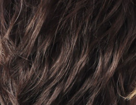 Capless Short High Quality Synthetic Natural Look Dark Coffee With Blonde Bob Hair Wig FD010C-0479-1112-3 Capless Short High Quality Synthetic Natural Look Dark Coffee With Blonde Bob Hair Wig FD010C-0479-1112-3