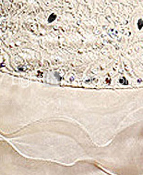 VOLLINA - Robe de Cocktail Satin Dentelle VOLLINA - Robe de Cocktail Satin Dentelle