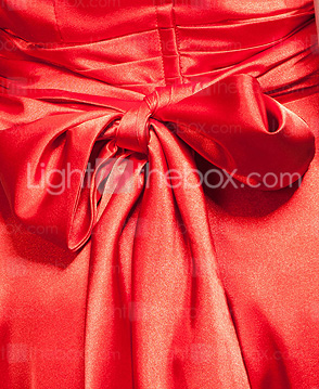 Elastic Satin Spaghetti Straps Floor-length Evening Dress inspired by Olivia Wilde