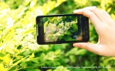 Starlight HD - Android 2.2 Smartphone w/ 4.3 Inch Capacitive Multi-Touchscreen (Dual SIM, GPS, WiFi)