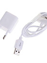 USB ultra-mini adaptador / cargador con el cable USB para todos los 3G/3GS iPhone / iPod (hf256)