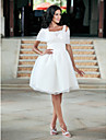 Ball Gown Knee-length Organza Wedding Dress With Wrap 
