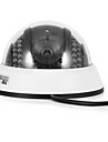 Dome Security Camera with 1/4 Inch Sharp Color CCD (Night Vision)