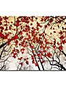 Hand-painted Landscape Oil Painting with Stretched Frame