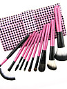 Color Shine-hoge kwaliteit wol borstel set (10st)