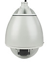 7 Inch Outdoor Economical Variable Speed Dome Camera(1/4" Sony Exview HAD CCD,30X optical zoom,520TVL)
