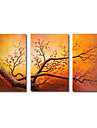 Met de hand geschilderde bloemen olieverf met gestrekte frame - set van 3