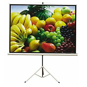 100' Projection Screen with Standing Shell (SMQC008)