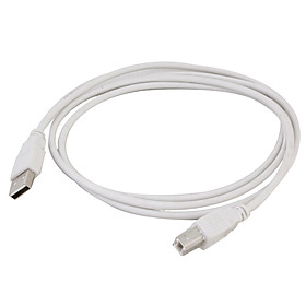 USB 1.1 A to B Cable (1.5-Meter)
