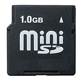 1GB MiniSD Memory Card