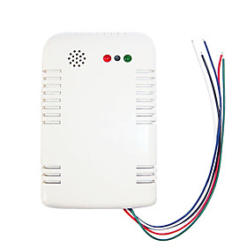 SG-2008C LPG Gas Detector with NC/NO Relay Output