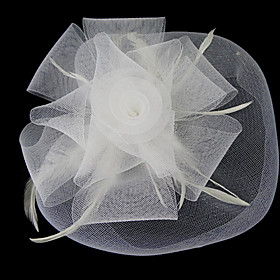 Tulle With Feather Bridal Veil/ Headpiece