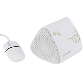 Wireless Bluetooth Speaker for Computer With Adapter