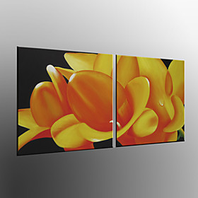 Hand-painted Floral Oil Painting with Stretched Frame - Set of 2 Hand-painted Floral Oil Painting with Stretched Frame - Set of 2