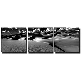 Printed Canvas Art with Stretched Frame