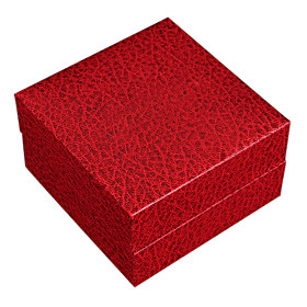 PU Leather Style Watch Case (Red)