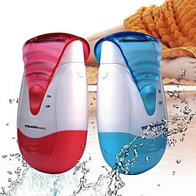Electric Lady Shaver