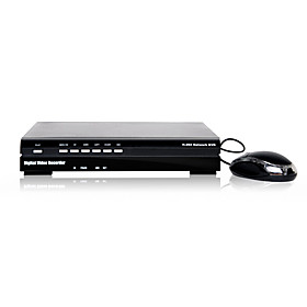 H.264 8 Channel Real Time DVR Security System (2 D1   6 CIF Real Time)