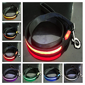 Nylon Night Safety LED Dog Leash (120cm, Assorted Colors)