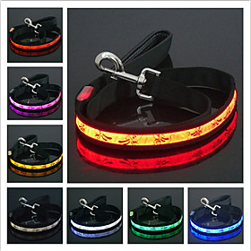 Cartoon Dog Style Nylon LED Dog Leash (120cm, Assorted Colors)