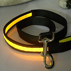 Plain Reflective Nylon LED Dog Leash (120cm, Assorted Colors)
