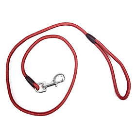 Premium Nylon Dog Leash (120cm, Red)
