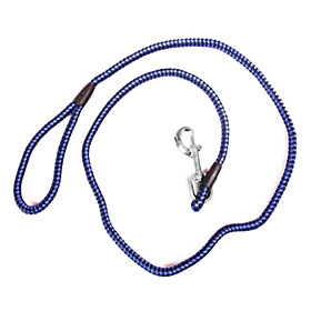 Nylon Cord Style Dog Leash (120cm, Blue)