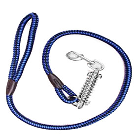 High-Quality Nylon Dog Leash (130cm, Blue)