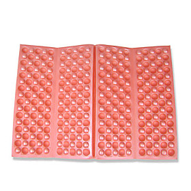 Moisture-Proof Pad for Picnic Outdoor Sport R om Color