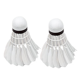 CONGA High-Performance Badminton for Primary Training (12-Pack)