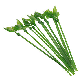 Beautiful Cable Tidy Leaf Tie