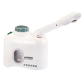 Whitening Facial Steaming Device