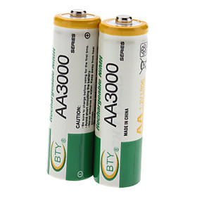 BTY AA 3000mAh Rechargeable Ni-MH Batteries (1.2V, 2-Pack)