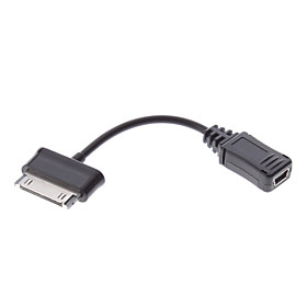 Mini USB Female Adapter for Samsung Galaxy P1000