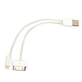 2 in 1 30 Pin and 8 Pin Lightning Male to USB Sync and Charge Cable (18CM,White)