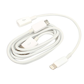Micro USB Female to 8 Pin Lightning Male Sync and Charge Cable with USB Cable for iPhone 5 and iPad
