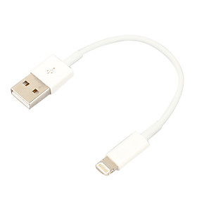 8 Pin Lightning to USB Data Sync and Charge Cable for iPhone 5,iPad mini,iPods (White,15CM)