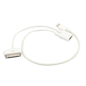 Micro USB Female to 30 Pin and 8 Pin Lightning Male Sync and Charge Cable for iPhone 5 and iPad mini