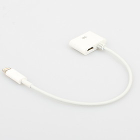 2 in 1 Micro USB and 30Pin Female to Lightning Male Sync and Charge Cable for iPhone 5 and iPad mini