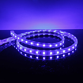 Waterproof 10W/M 5050 SMD Blue Light LED Strip Lamp (220V, Length Selectable)