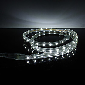 Waterproof 3.5W/M 3528 SMD White Light LED Strip Lamp (220V, Length Selectable)